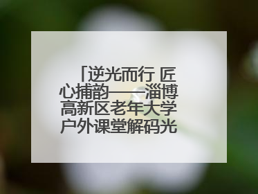逆光而行 匠心捕韵——淄博高新区老年大学户外课堂解码光影美学密码