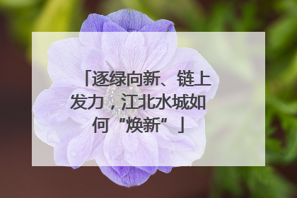 逐绿向新、链上发力，江北水城如何“焕新”