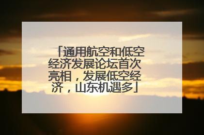 通用航空和低空经济发展论坛首次亮相，发展低空经济，山东机遇多