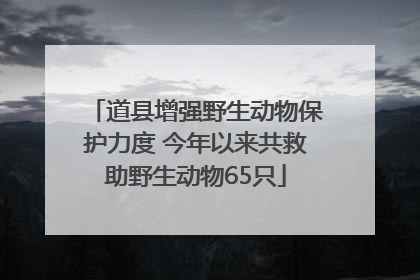 道县增强野生动物保护力度 今年以来共救助野生动物65只