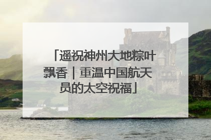 遥祝神州大地粽叶飘香｜重温中国航天员的太空祝福
