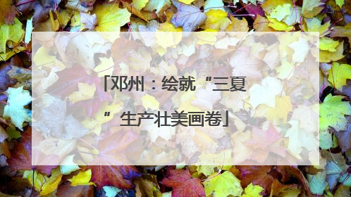 邓州：绘就“三夏”生产壮美画卷