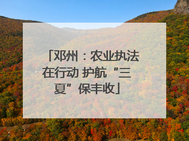 邓州：农业执法在行动 护航“三夏”保丰收
