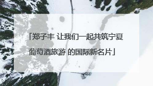 郑子丰 让我们一起共筑宁夏葡萄酒旅游 的国际新名片