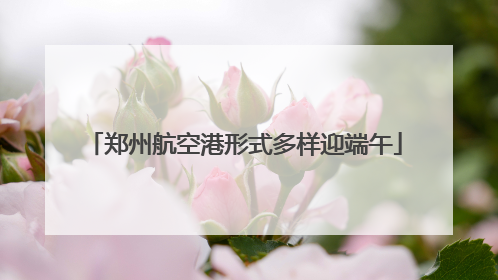 郑州航空港形式多样迎端午