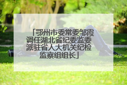 鄂州市委常委邹霞调任湖北省纪委监委派驻省人大机关纪检监察组组长