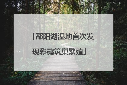 鄱阳湖湿地首次发现彩鹮筑巢繁殖