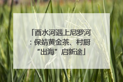 酉水河遇上尼罗河：保靖黄金茶、村厨“出海”启新途