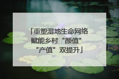 重塑湿地生命网络 赋能乡村“颜值”“产值”双提升