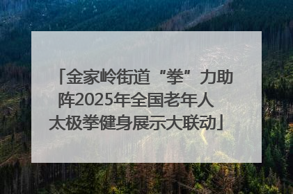 金家岭街道“拳”力助阵2025年全国老年人太极拳健身展示大联动