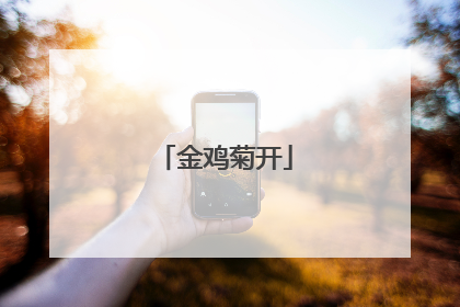 金鸡菊开