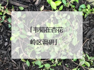 韦韬在杏花岭区调研