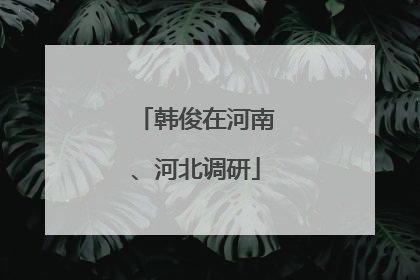 韩俊在河南、河北调研