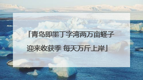 青岛即墨丁字湾两万亩蛏子迎来收获季 每天万斤上岸