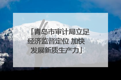 青岛市审计局立足经济监督定位 加快发展新质生产力