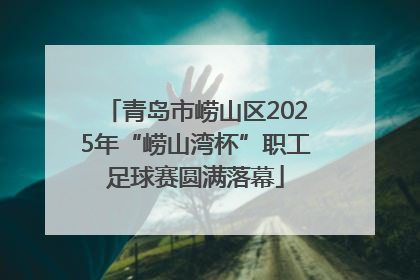 青岛市崂山区2025年“崂山湾杯”职工足球赛圆满落幕