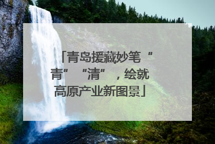 青岛援藏妙笔“青”“清”，绘就高原产业新图景