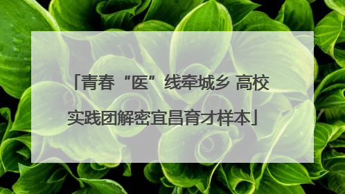 青春“医”线牵城乡 高校实践团解密宜昌育才样本
