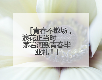 青春不散场，浪花正当时——茅岩河致青春毕业礼！