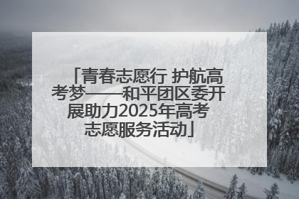 青春志愿行 护航高考梦——和平团区委开展助力2025年高考志愿服务活动