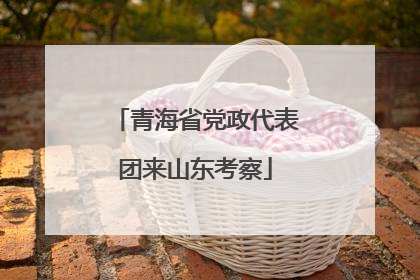 青海省党政代表团来山东考察
