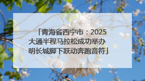 青海省西宁市：2025大通半程马拉松成功举办 明长城脚下跃动奔跑音符