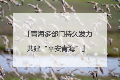 青海多部门持久发力共建“平安青海”