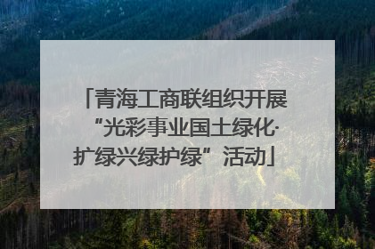青海工商联组织开展“光彩事业国土绿化·扩绿兴绿护绿”活动