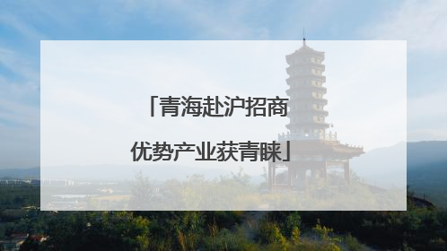 青海赴沪招商 优势产业获青睐