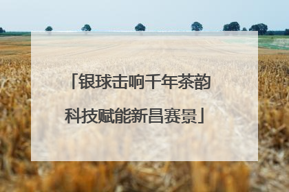银球击响千年茶韵 科技赋能新昌赛景