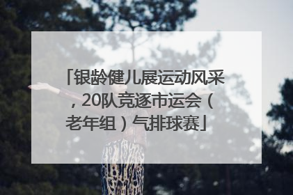 银龄健儿展运动风采，20队竞逐市运会（老年组）气排球赛