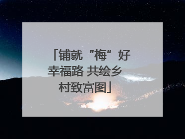 铺就“梅”好幸福路 共绘乡村致富图