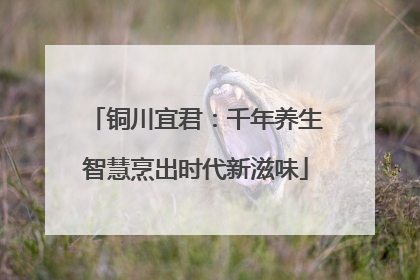 铜川宜君：千年养生智慧烹出时代新滋味