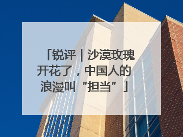 锐评｜沙漠玫瑰开花了，中国人的浪漫叫“担当”