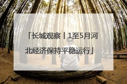 长城观察丨1至5月河北经济保持平稳运行