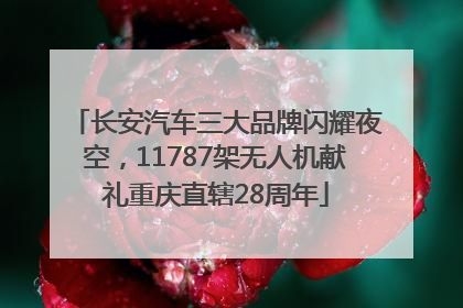 长安汽车三大品牌闪耀夜空，11787架无人机献礼重庆直辖28周年