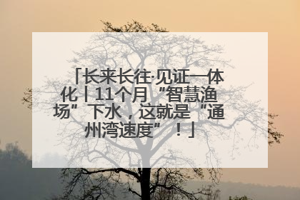 长来长往·见证一体化丨11个月“智慧渔场”下水，这就是“通州湾速度”！