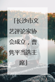 长沙市文艺评论家协会成立，曹隽平当选主席