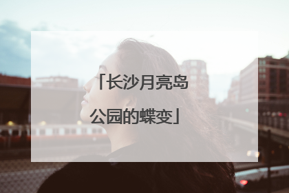 长沙月亮岛公园的蝶变