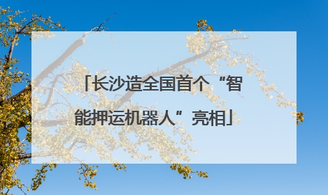 长沙造全国首个“智能押运机器人”亮相