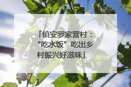 镇安罗家营村：“吃水饭”吃出乡村振兴好滋味