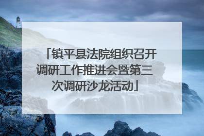 镇平县法院组织召开调研工作推进会暨第三次调研沙龙活动