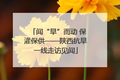 闻“旱”而动 保灌保供——陕西抗旱一线走访见闻