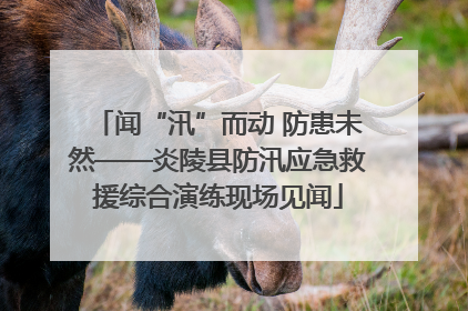 闻“汛”而动 防患未然——炎陵县防汛应急救援综合演练现场见闻