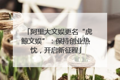 阿里大文娱更名“虎鲸文娱”：保持创业热忱，开启新征程