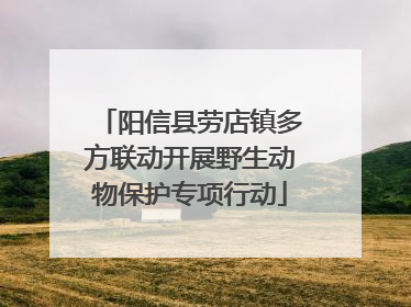 阳信县劳店镇多方联动开展野生动物保护专项行动