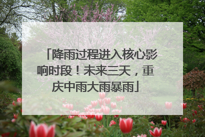 降雨过程进入核心影响时段！未来三天，重庆中雨大雨暴雨