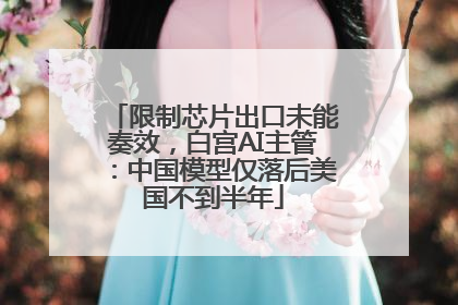 限制芯片出口未能奏效，白宫AI主管：中国模型仅落后美国不到半年