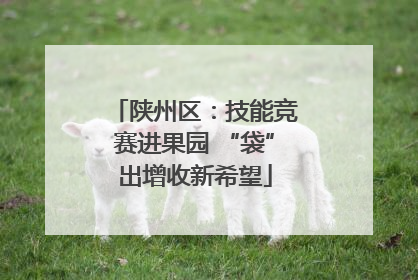 陕州区：技能竞赛进果园 “袋”出增收新希望
