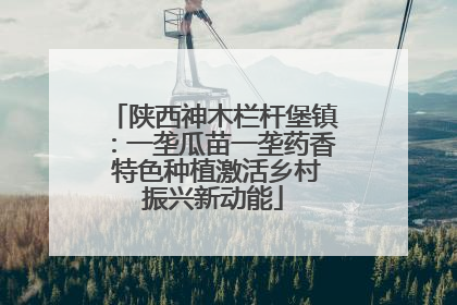 陕西神木栏杆堡镇：一垄瓜苗一垄药香 特色种植激活乡村振兴新动能